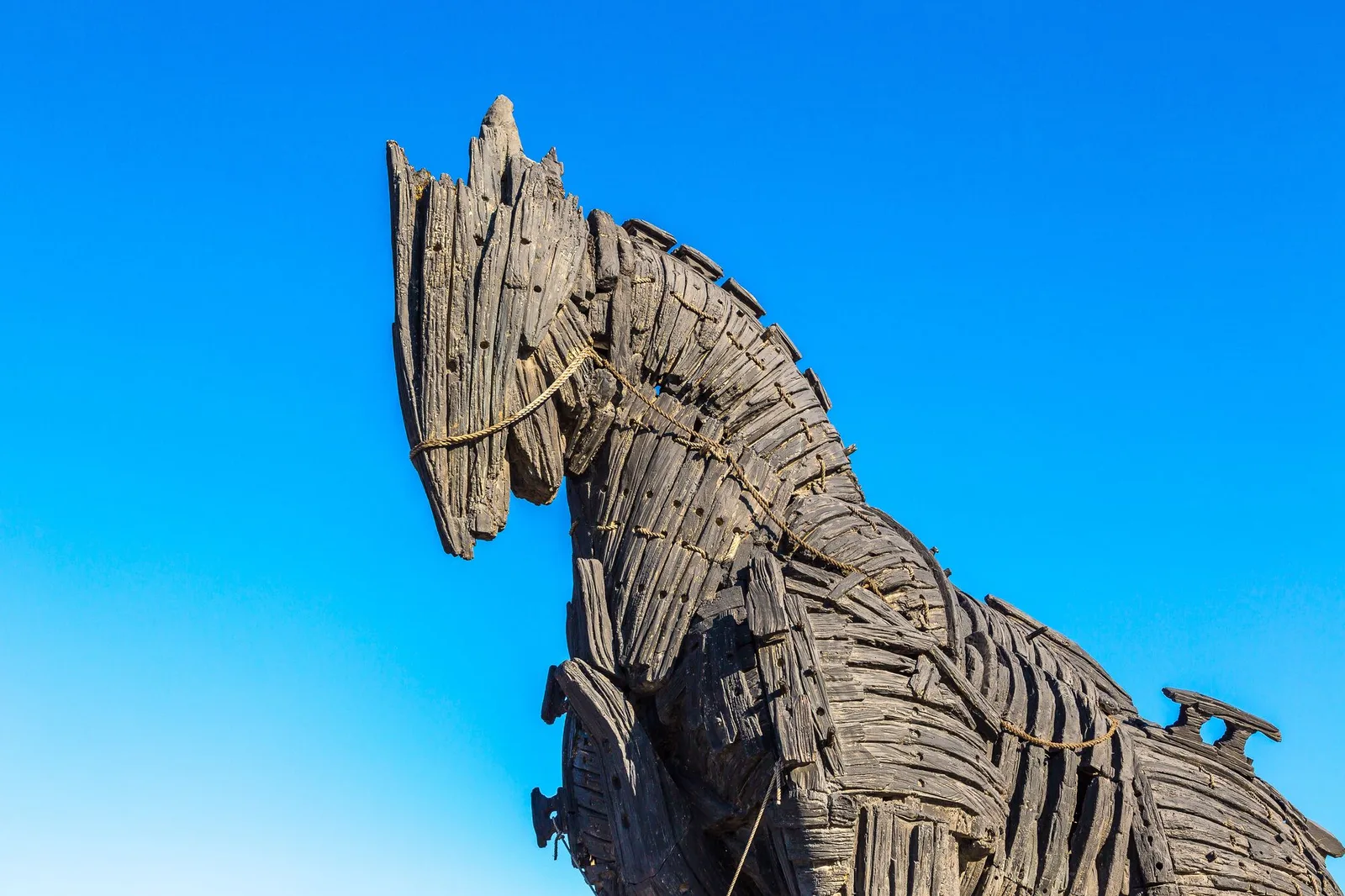 Don't Fall for a Trojan HaaS