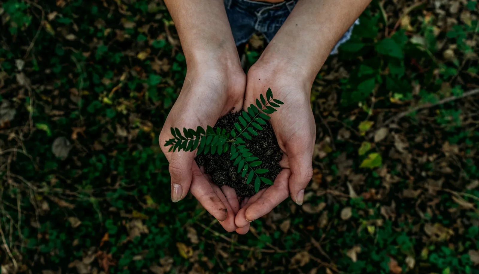 Go Green! Reuse your equipment, reduce your carbon footprint, and save costs with Firstbase